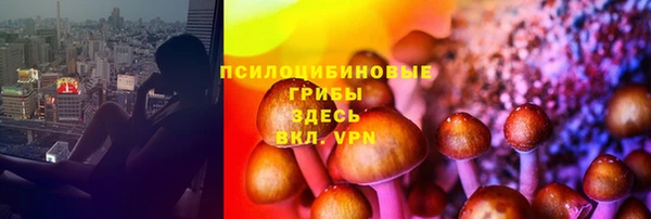твердый Белокуриха