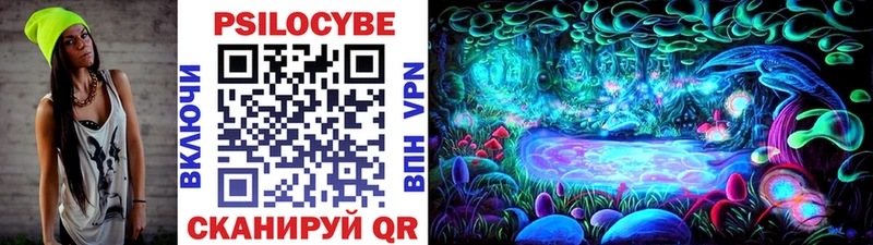 Псилоцибиновые грибы GOLDEN TEACHER  Купить где  Облучье 